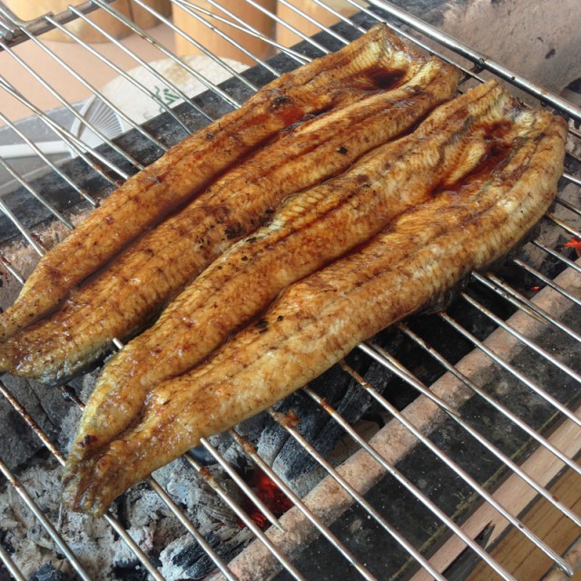 国産うなぎ　販売