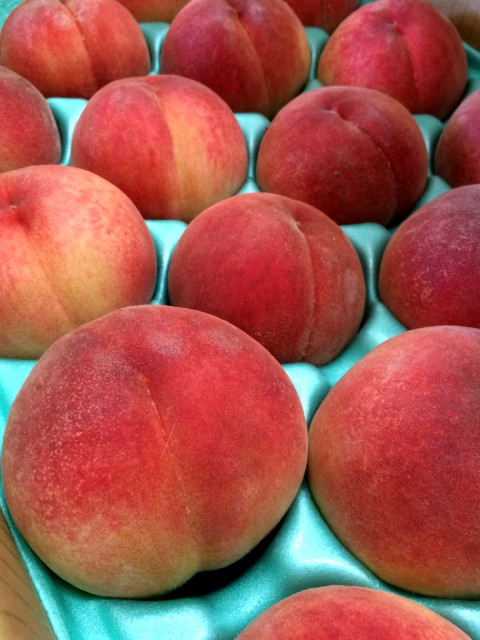 あかつき　販売