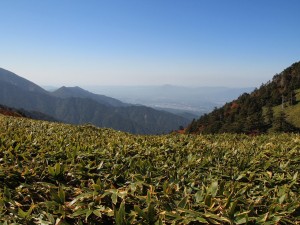 東山道　旅行 ツアー ウォーキング