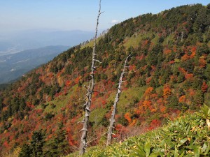 東山道　旅行 ツアー ウォーキング